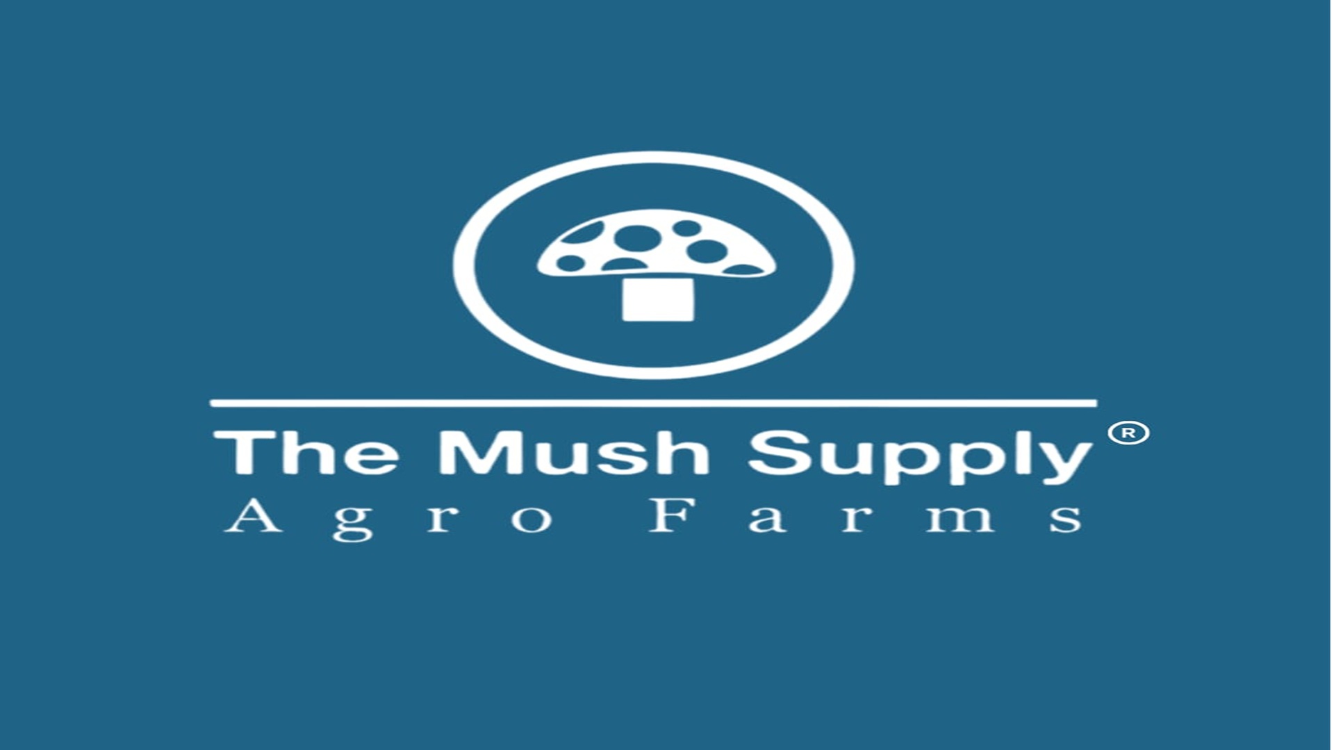Startup Logo