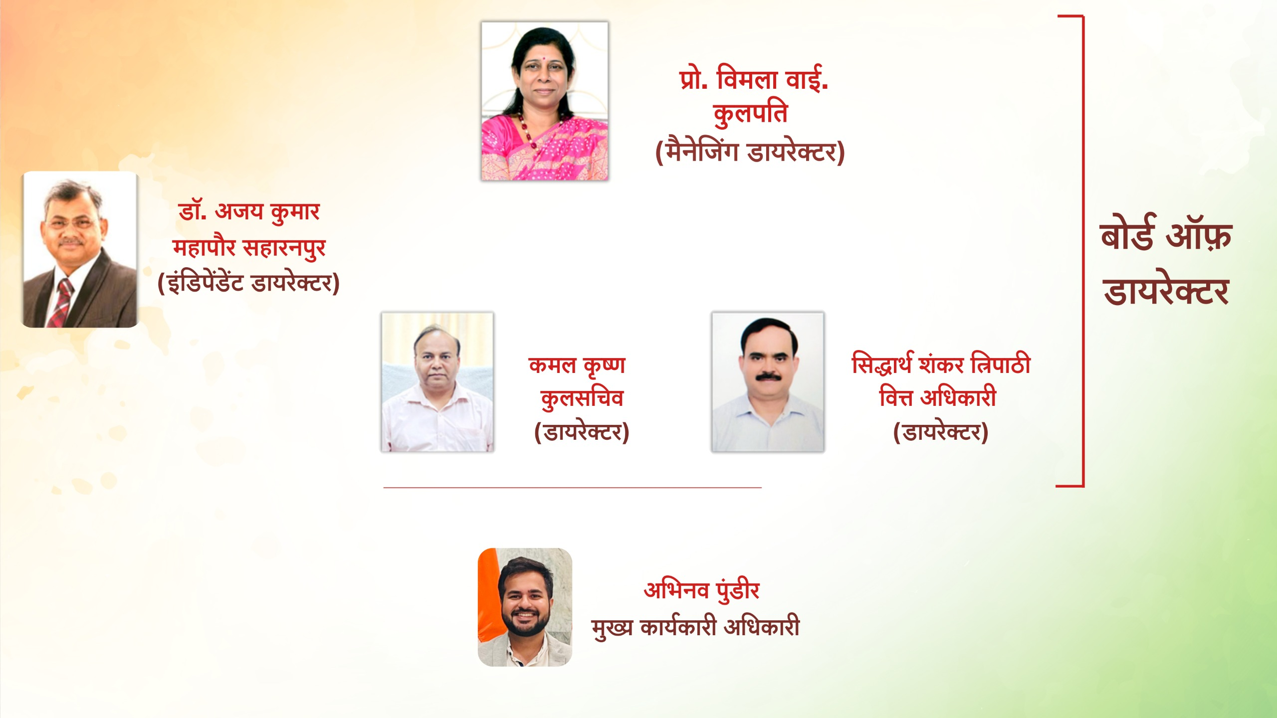 Ambika Governance Structure
